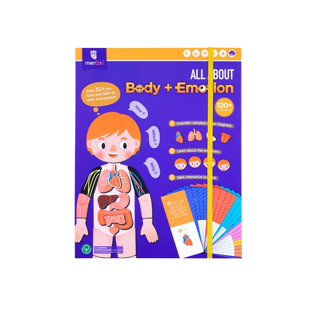 mierEdu: Magnetic Puzzle All About Body + Emotion