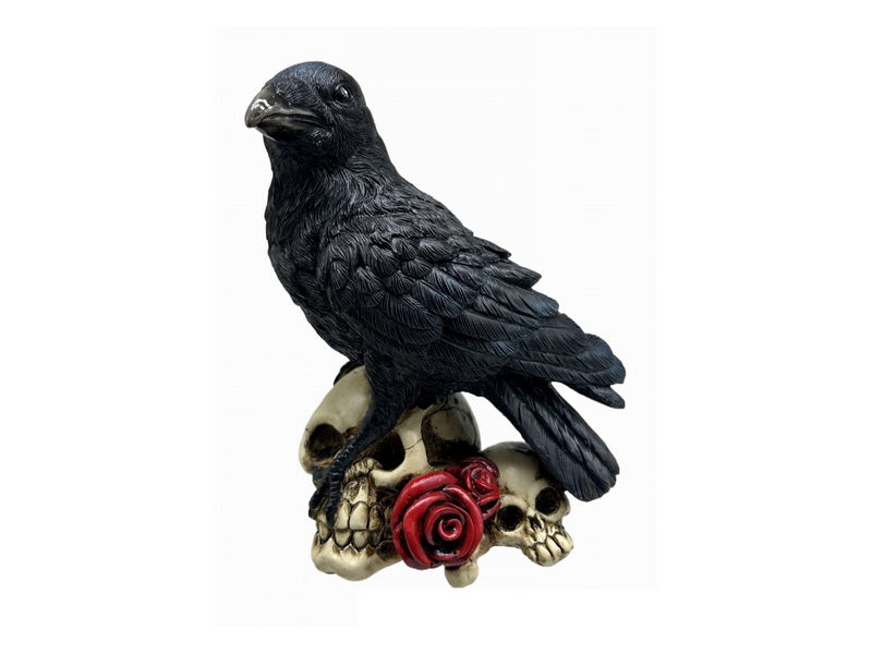 Black Raven on Skulls 18cm