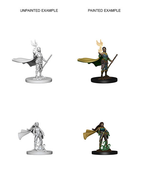 D&D: Nolzur's Marvelous Miniatures Elf Druid Female