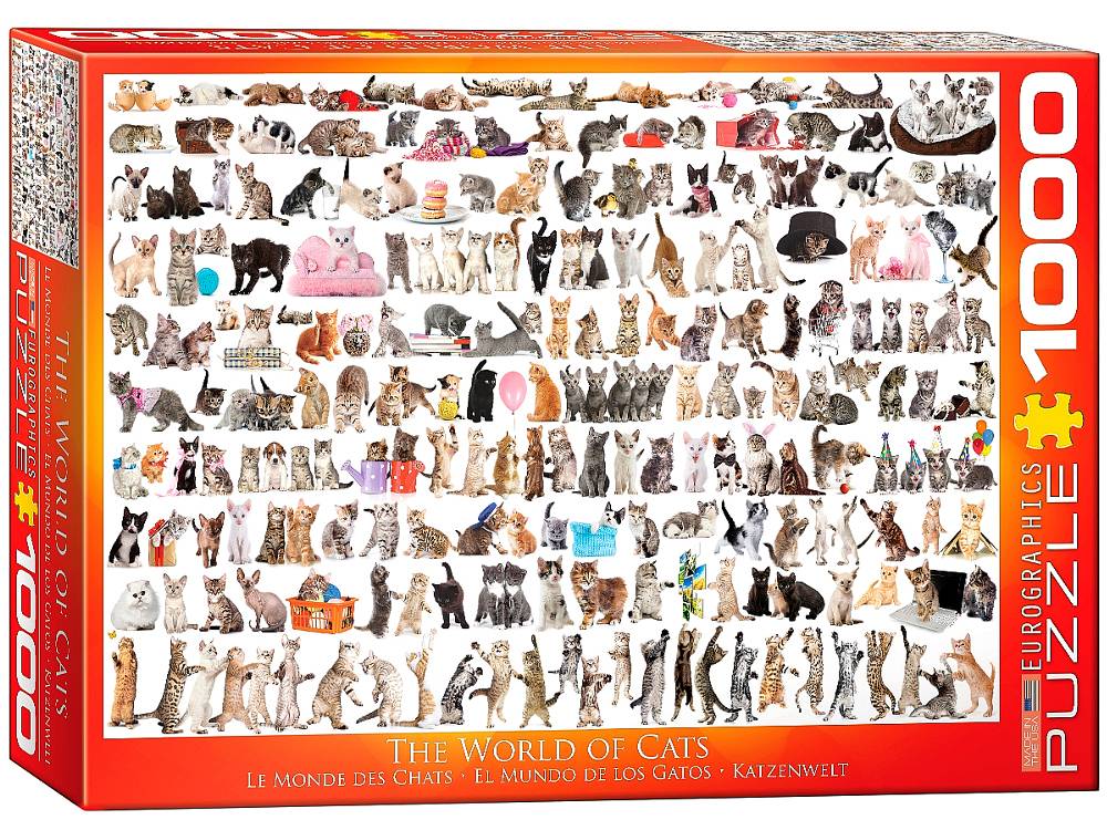 Eurographics: 1000pc The World of Cats