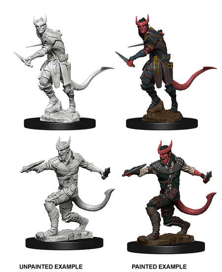 D&D: Nolzur's Marvelous Miniatures Tiefling Rogue Male