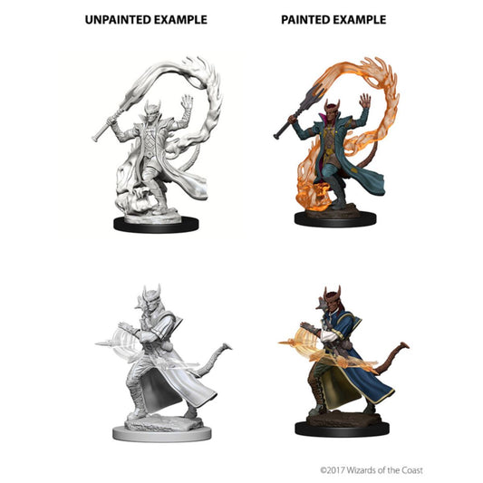 D&D: Nolzur's Marvelous Miniatures Tiefling Sorcerer Male