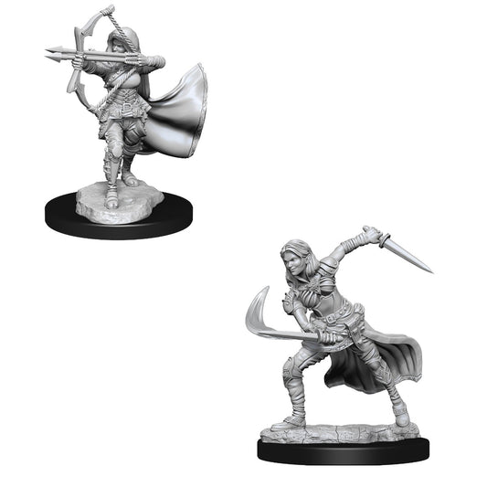 D&D: Nolzur's Marvelous Miniatures Air Genasi Female