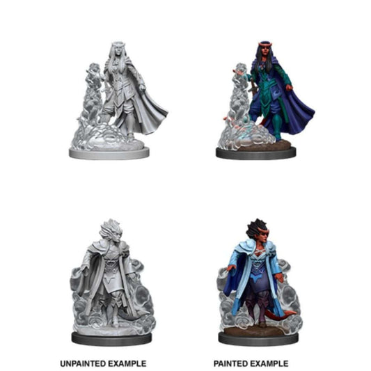 D&D: Nolzur's Marvelous Miniatures Tiefling Sorcerer Female