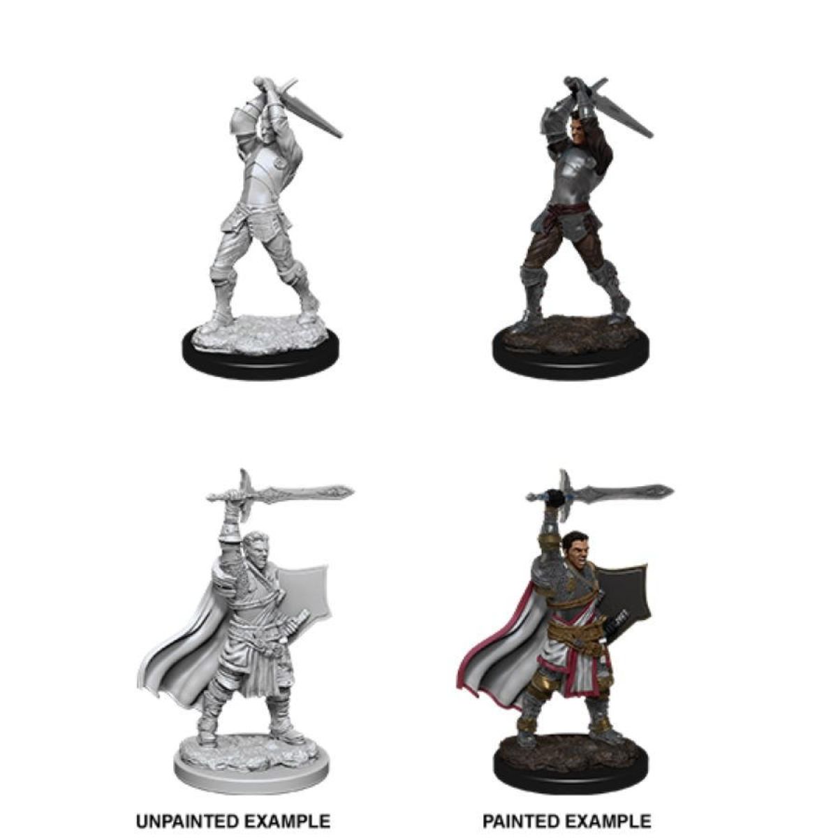 D&D: Nolzur's Marvelous Miniatures Human Paladin Male