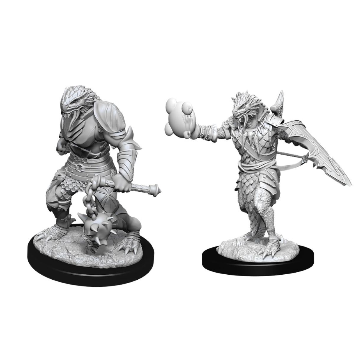 D&D: Nolzur's Marvelous Miniatures Dragonborn Paladin Male