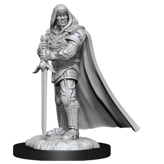 D&D: Nolzur's Marvelous Miniatures Human Paladin Male