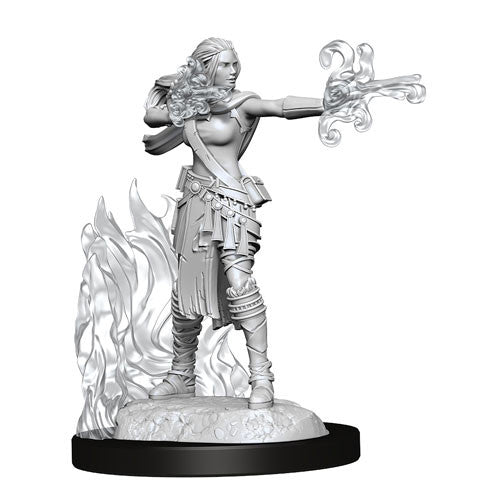 D&D: Nolzur's Marvelous Miniatures Multiclass Warlock & Sorcerer Female