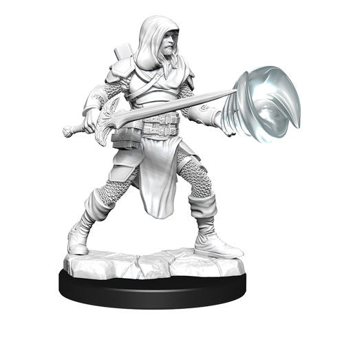D&D: Nolzur's Marvelous Miniatures Multiclass Fighter & Wizard Male
