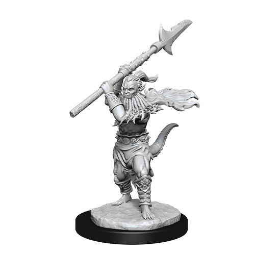 D&D: Nolzur's Marvelous Miniatures Bearded Devils