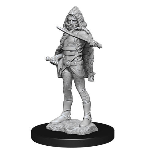 D&D: Nolzur's Marvelous Miniatures Darkling Elder & Darklings