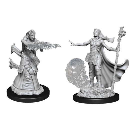 D&D: Nolzur's Marvelous Miniatures Human Wizard Female