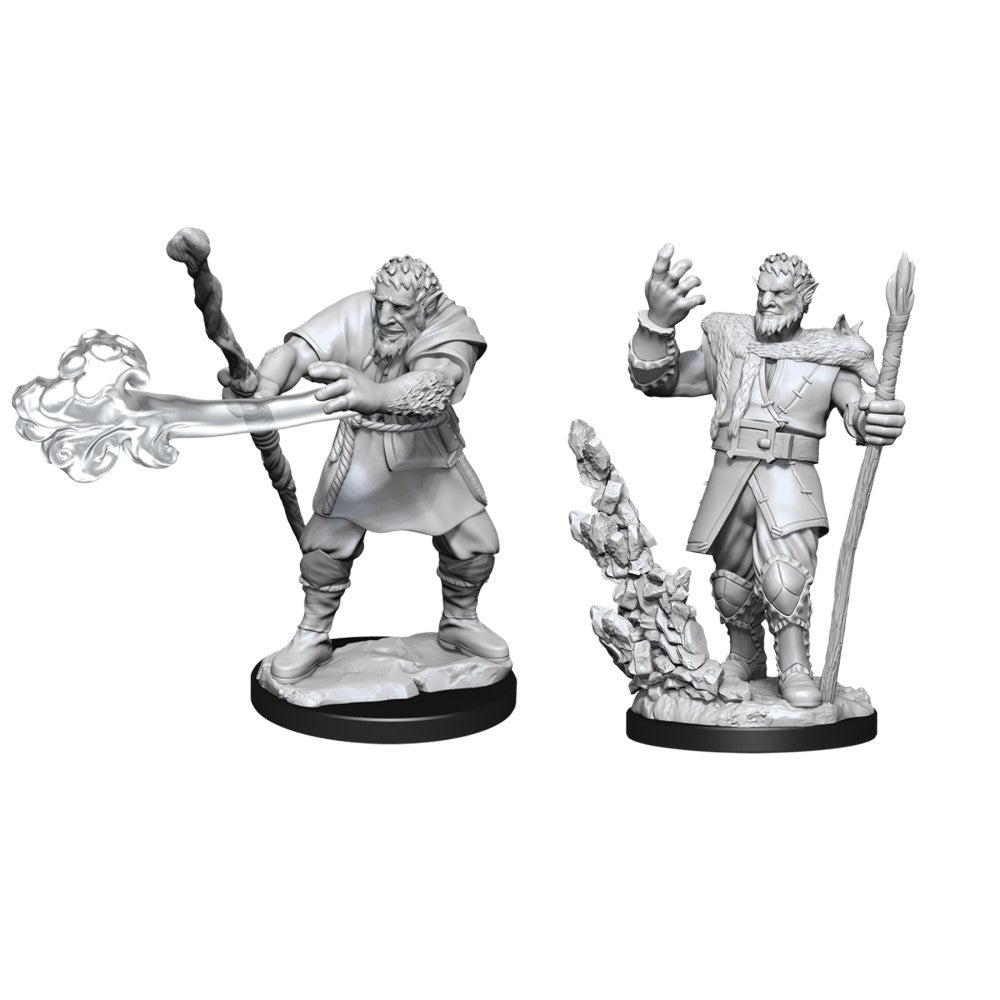 D&D: Nolzur's Marvelous Miniatures Firbolg Druid Male